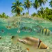 Fiji