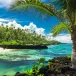 Apia