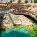 Muscat