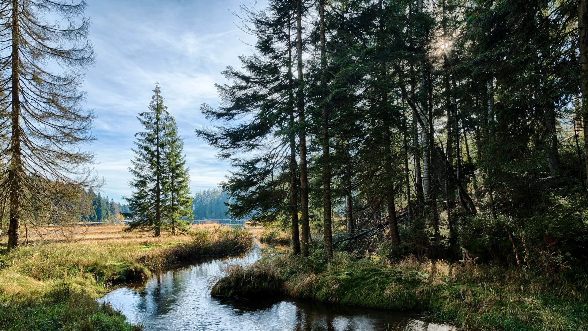 Nature