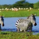 Tanzania